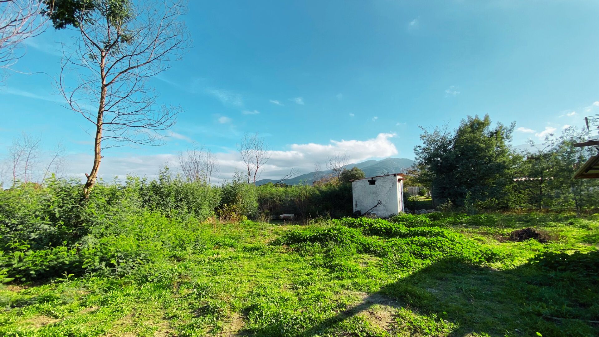 Terrain de Loisirs Saint Andre 3485 m² avec Cabanon 29 m2