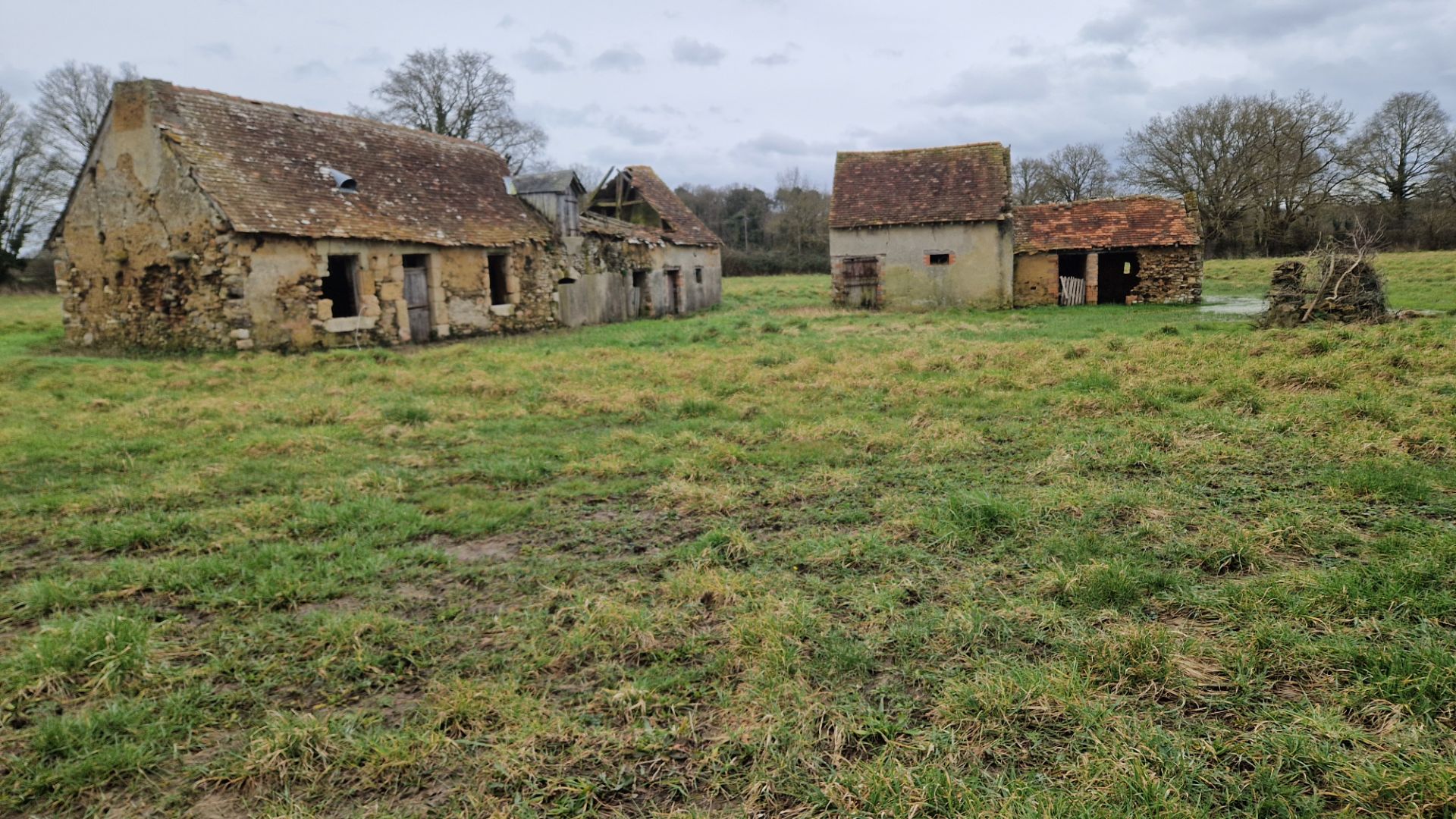 Très grand terrain avec bâtisse à démolir ou restaurer.
