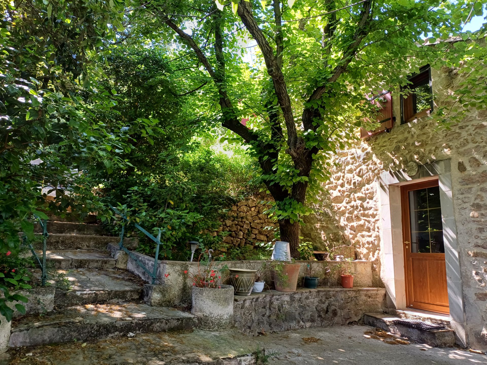 MAS PROVENCAL
