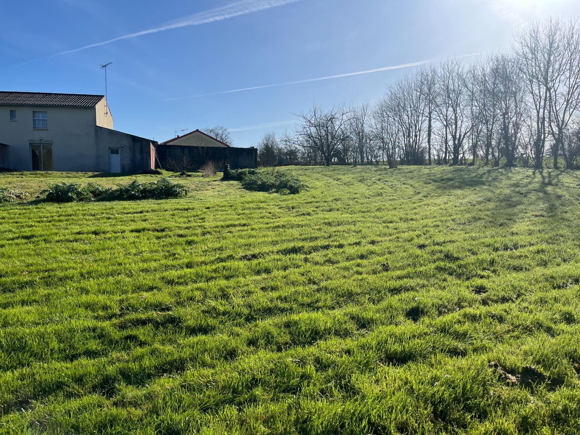 MAISON CAMPAGNE A SAINT FLORENT LE VIEIL