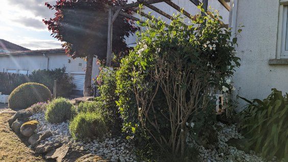 VOLUME EXCEPTIONNEL AU COEUR DU BOURG