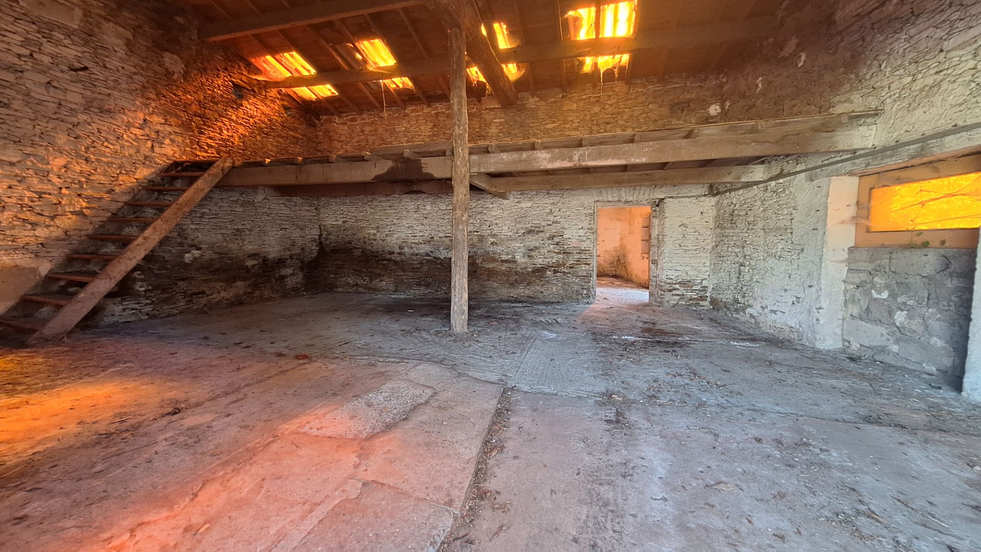...