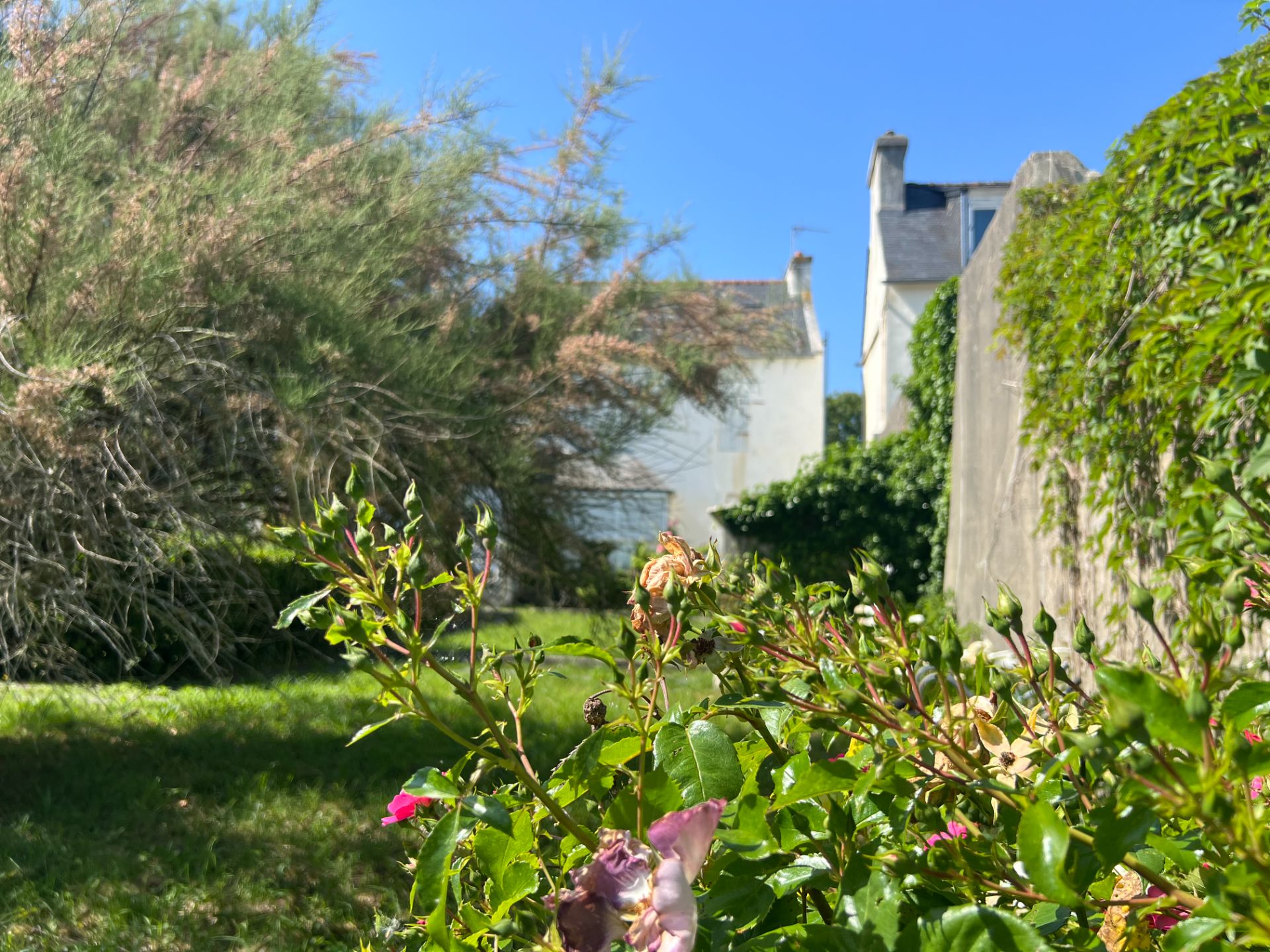 TELGRUC-SUR-MER – Maison T6 avec dépendance et terrain constructible – Proche plage de Trez-Bellec