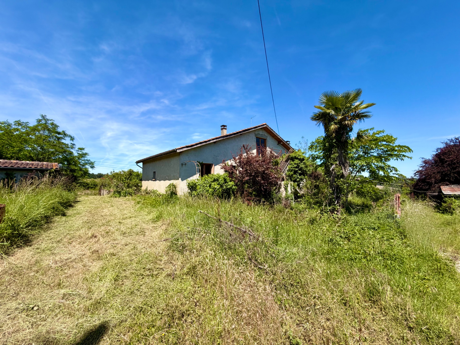 Maison + Terrain