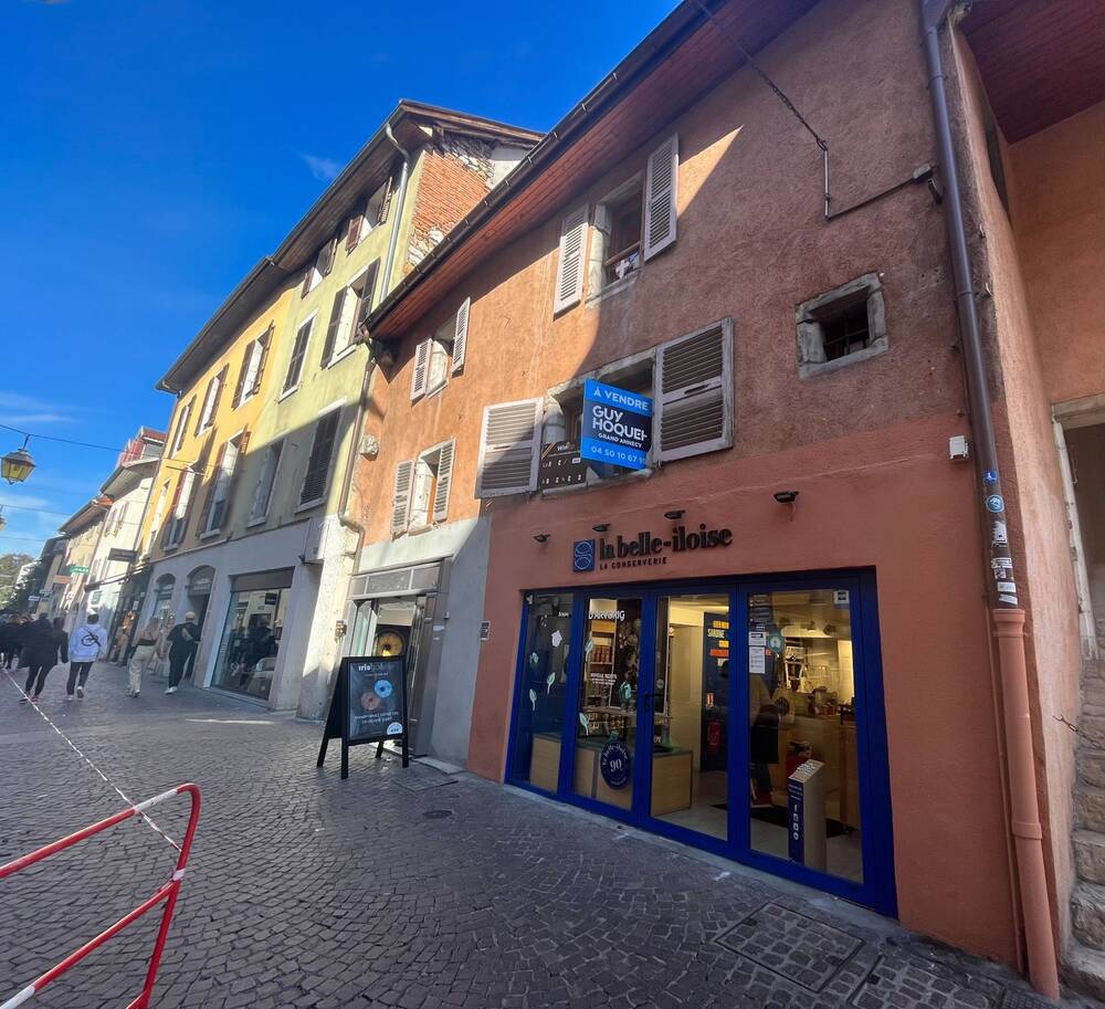 Appartement T3 vieille ville Annecy + Studio