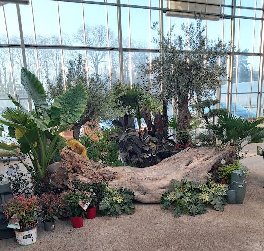 Fonds de commerce de JARDINERIE