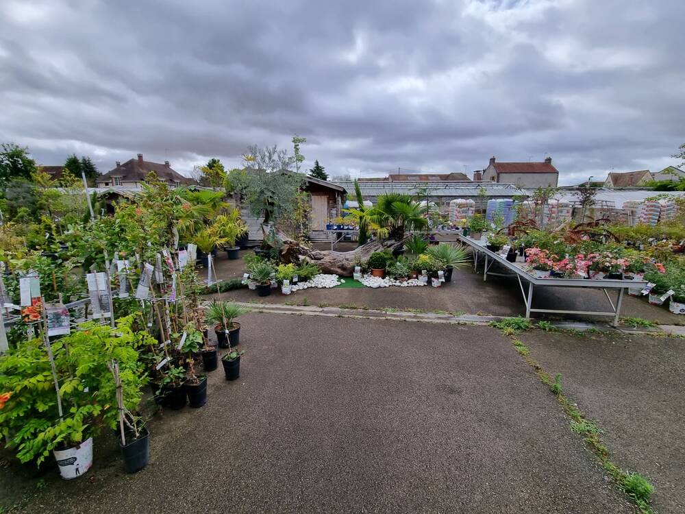 Fonds de commerce de JARDINERIE