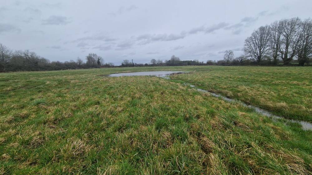 Très grand terrain avec bâtisse à démolir ou restaurer.