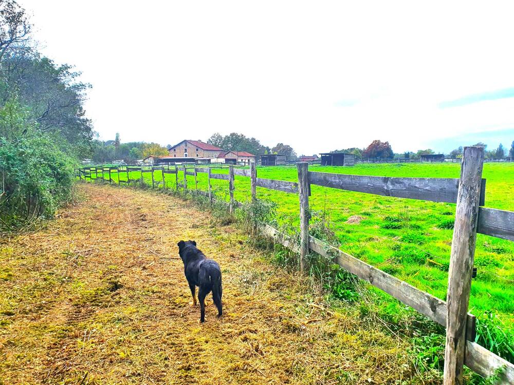 PROPRIETE EQUESTRE / ENSEMBLE IMMOBILIER_GRENADE SUR L'ADOUR