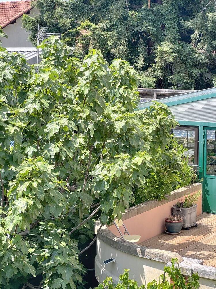 Uniquement chez nous. Première ceinture d'Avignon. Maison bourgeoise - 140m² - 7 pièces - jardin 400m²