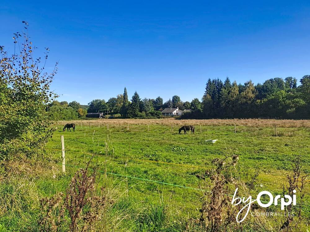 Propriété 15 hectares