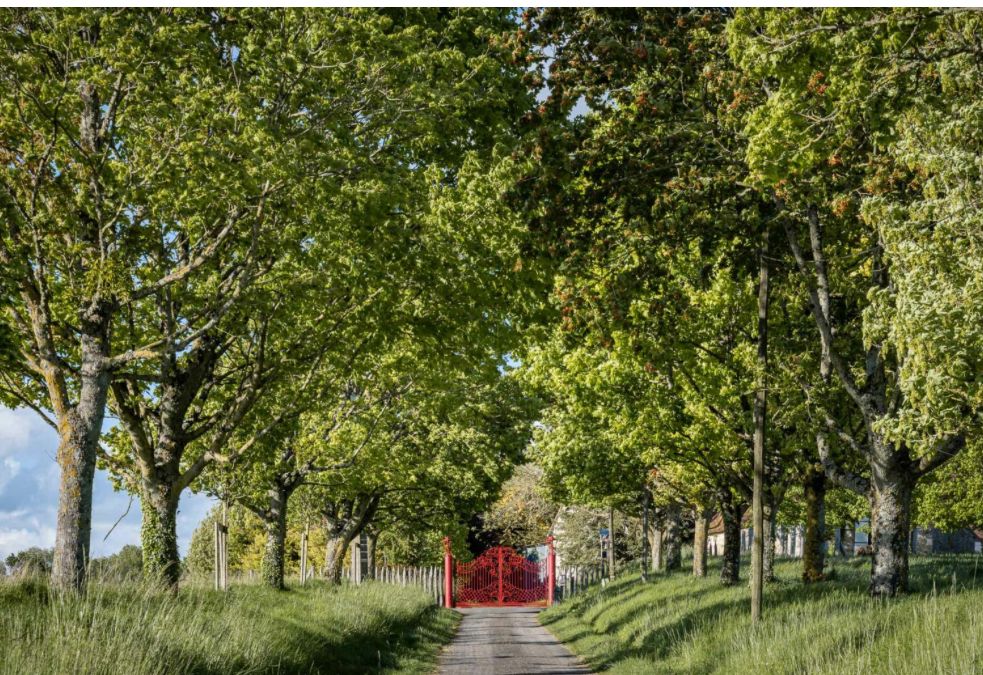 Château d’exception – 667 m² habitables sur près de 2 hectares – prestations haut de gamme