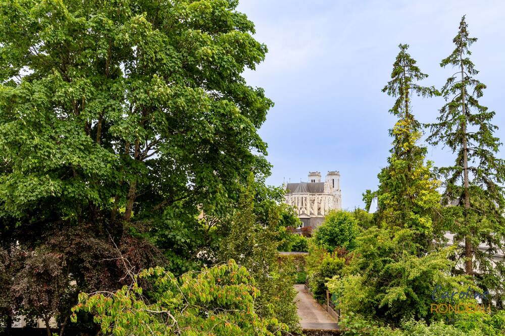 A vendre Nantes Saint Donatien grande maison familiale impasse Armand Bouvier